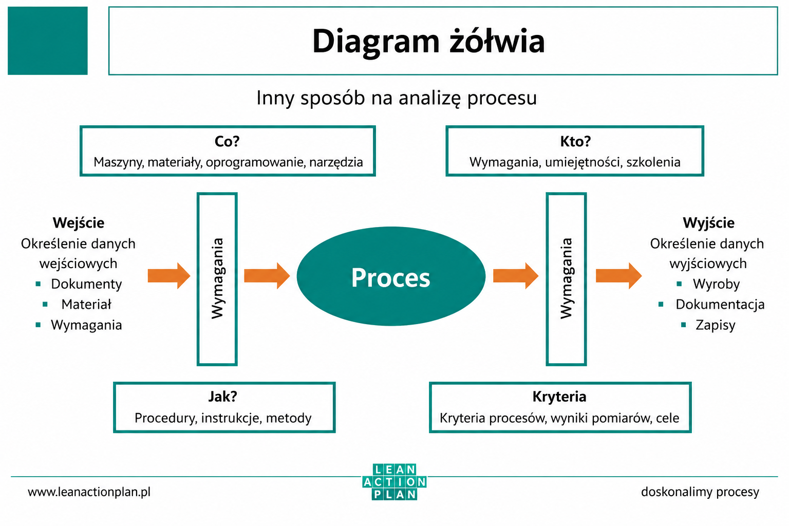 diagram zolwia diagram zolwia