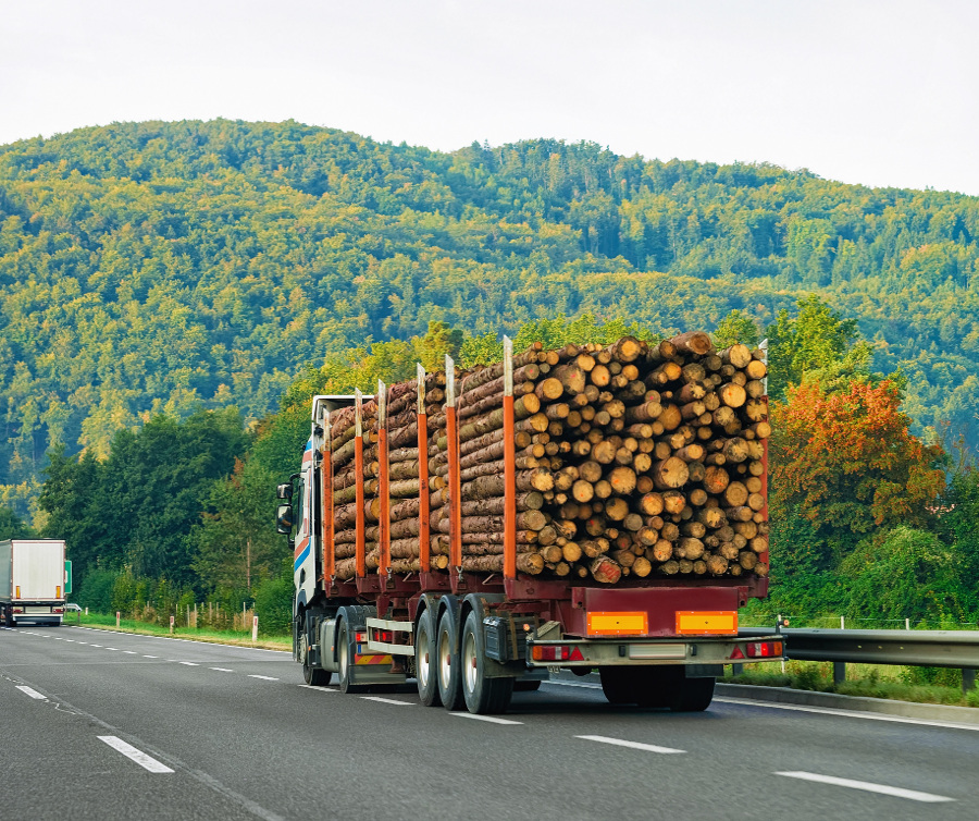 Auto z drewnem - przykład ryzyka łańcucha dostaw