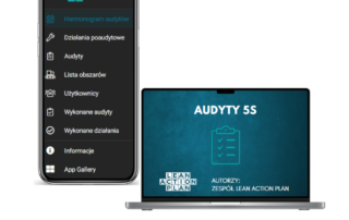 Audyt 5s