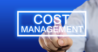 zarządzanie kosztami