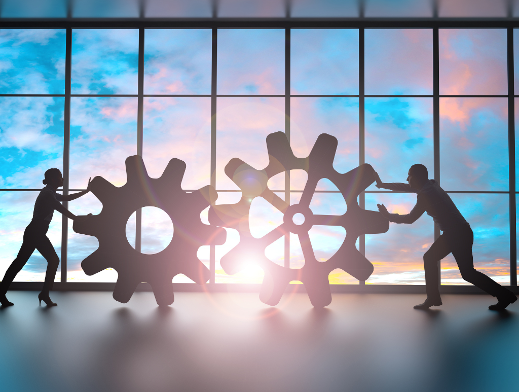 cena jako dźwignia rentowności