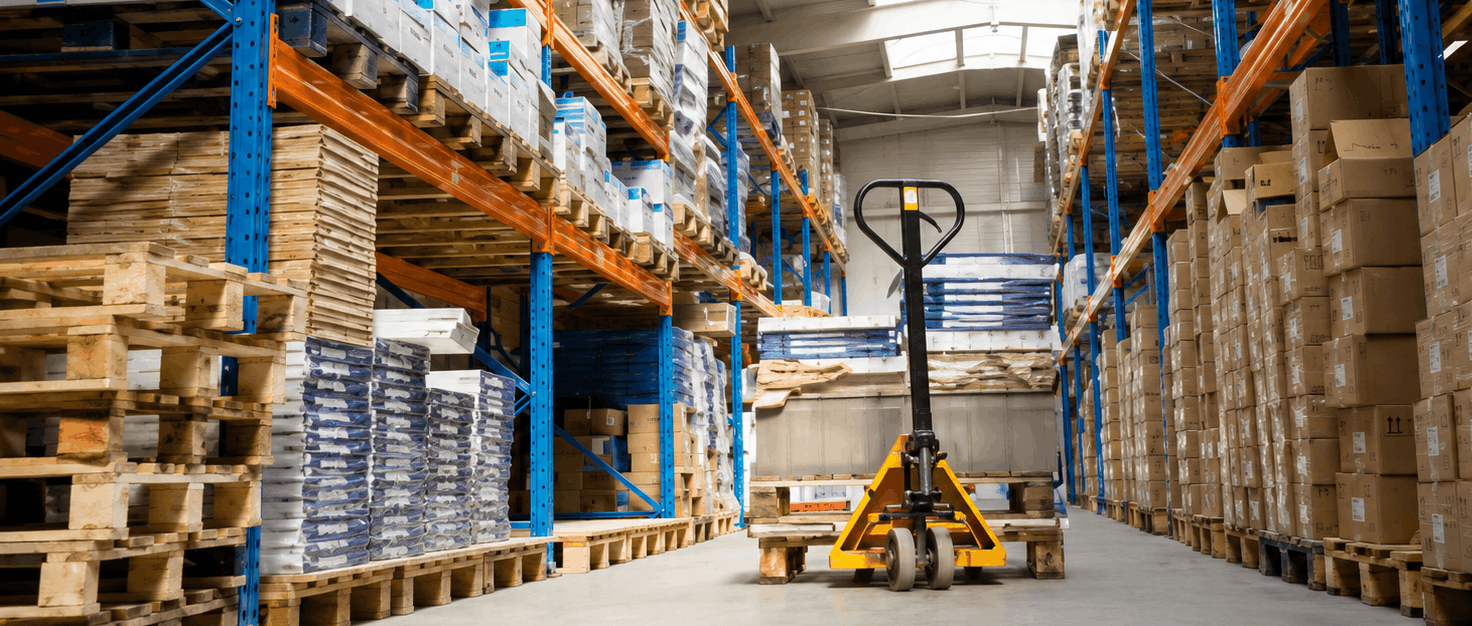 Netuno Case Study
